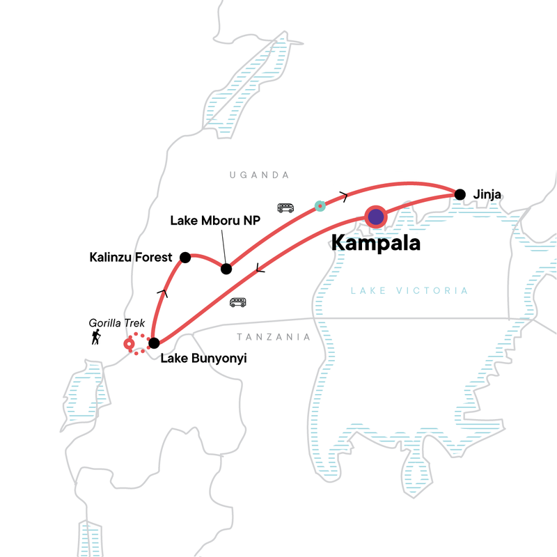 Tour Gorillas von Uganda