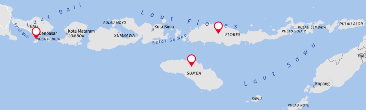 Tour Zwischen Komodo-Drachen und Mantarochen